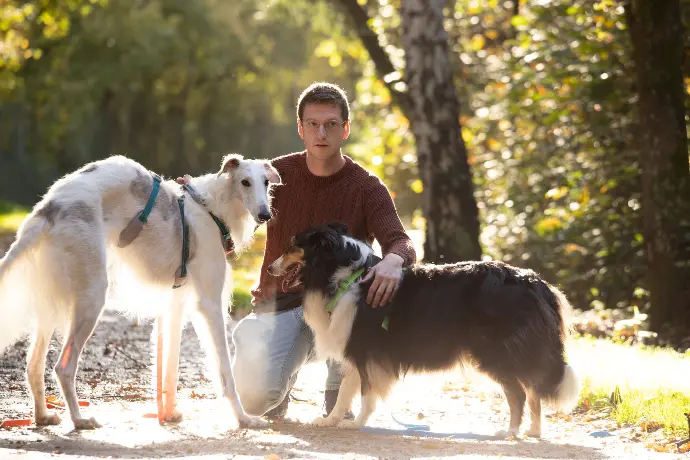 comportementaliste canin chien