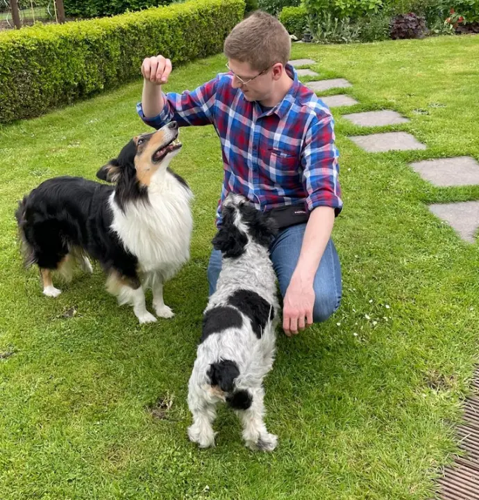 chiens exercices extérieur